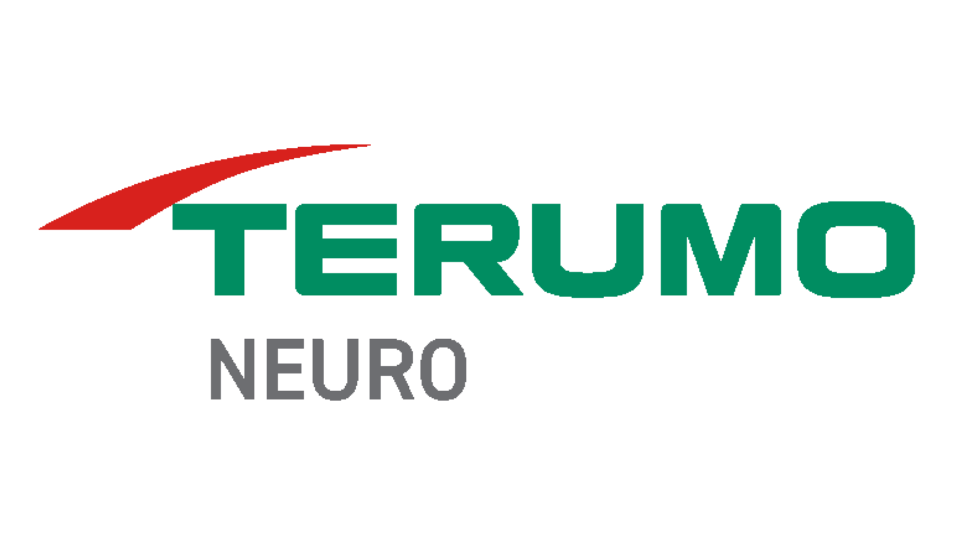TERUMO NEURO