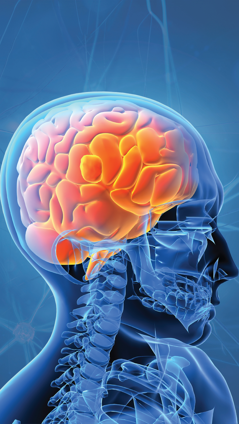  SLICE - SNIS Annual Meeting